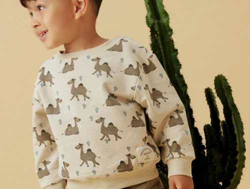 Dreng klædt i beige sweatshirt med dromedarprint fra Name It 13243307 peyote